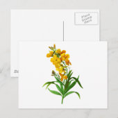 Giroflee Jaune door Pierre Joseph Redoute Briefkaart (Voorkant / Achterkant)