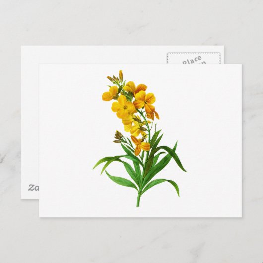 Giroflee Jaune door Pierre Joseph Redoute Briefkaart (Voorkant / Achterkant)