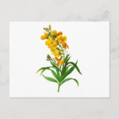 Giroflee Jaune door Pierre Joseph Redoute Briefkaart (Voorkant)