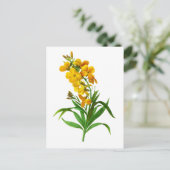 Giroflee Jaune door Pierre Joseph Redoute Briefkaart (Staand voorkant)