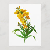 Giroflee Jaune door Pierre Joseph Redoute Briefkaart (Voorkant)
