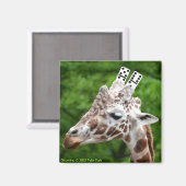 Giromino magnet (Voorkant / Achterkant)