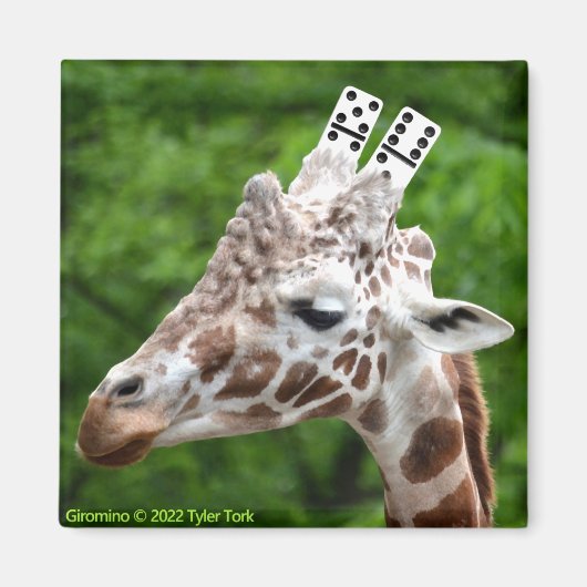 Giromino magnet (Voorkant)