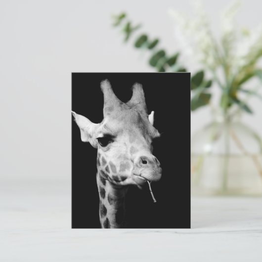 girrafe briefkaart (Staand voorkant)