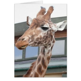 Girraffe