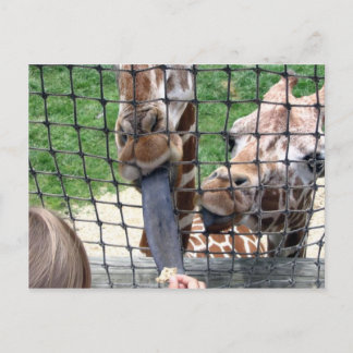 girraffe briefkaart