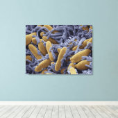 Gist en bacteriën in kefir melk canvas afdruk (Insitu (Houten vloer))