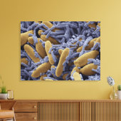 Gist en bacteriën in kefir melk canvas afdruk (Insitu (Woonkamer))