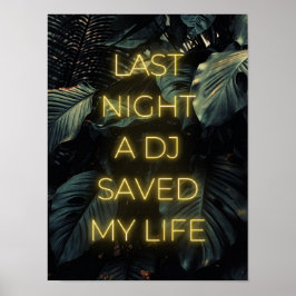 "Gisteravond heeft een DJ mijn leven gered" Lyrics Poster