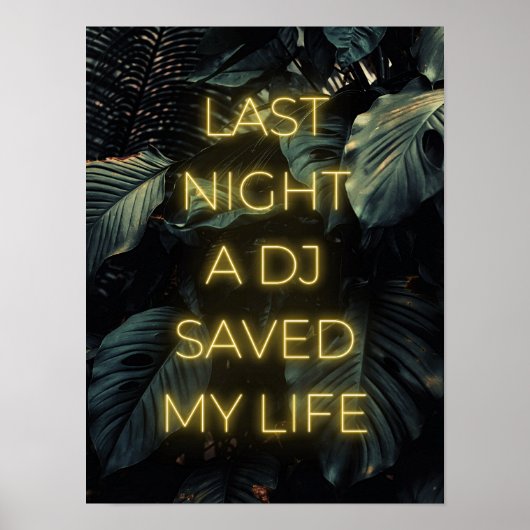 "Gisteravond heeft een DJ mijn leven gered" Lyrics Poster (Voorkant)