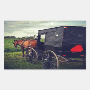 Gisteravond in een Amish-gemeenschap, Amish Horse Rechthoekige Sticker