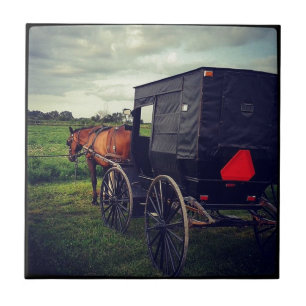 Gisteravond in een Amish-gemeenschap, Amish Horse Tegeltje