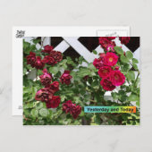 Gisteren en vandaag briefkaart (Voorkant / Achterkant)