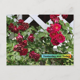 Gisteren en vandaag briefkaart