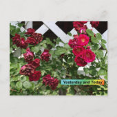 Gisteren en vandaag briefkaart (Voorkant)