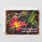 Gisteren heeft Lily het Briefkaart morgen in Regen (Voorkant)