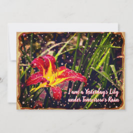 Gisteren heeft Lily het Briefkaart morgen in Regen