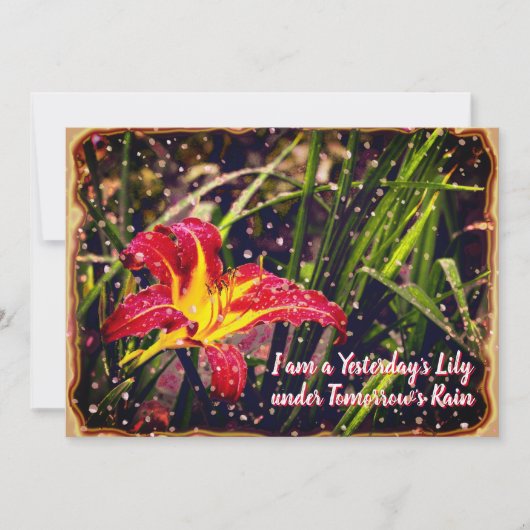 Gisteren heeft Lily het Briefkaart morgen in Regen (Voorkant)