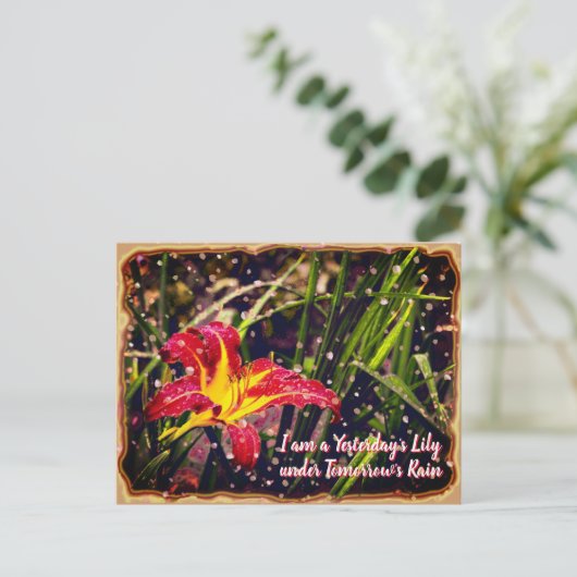 Gisteren heeft Lily morgen Regen Briefkaart (Staand voorkant)