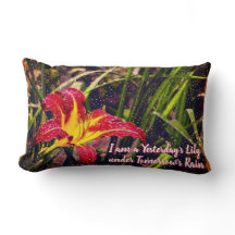 Gisteren heeft Lily morgen Regen