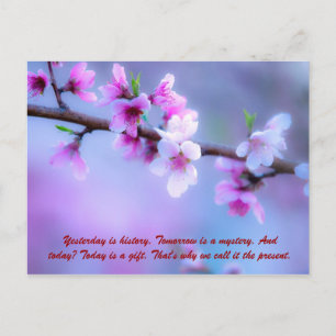 Gisteren is geschiedenis. Morgen is een mysterie.  Briefkaart