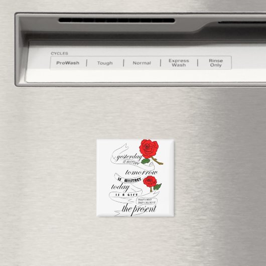 Gisteren is geschiedenis Morgen is Mystrey Magneet (Insitu (Vaatwasser))