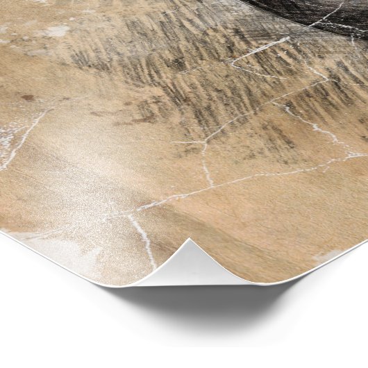  gitaar foto afdruk (Hoek)