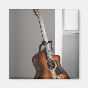 gitaar magneet