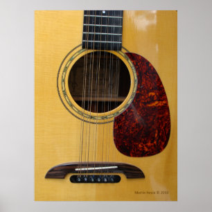 gitaar poster