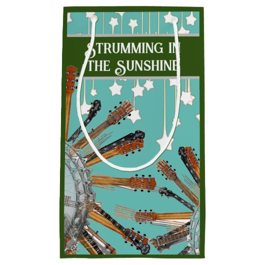 GITAAR SNAREN IN DE ZON KLEIN CADEAUZAKJE (Voorkant)