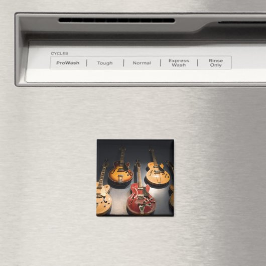 gitaren magneet (Insitu (Vaatwasser))