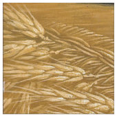 Giuseppe Arcimboldo - zomer Stof (Close Up)