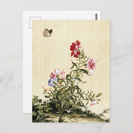 Giuseppe Castiglione - Anjerkunst Briefkaart (Voorkant / Achterkant)