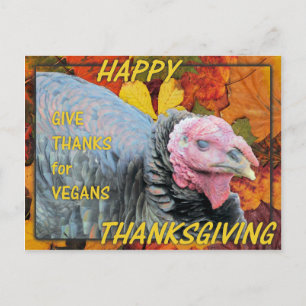 Give Thanks for Vegans Feestdagenkaart