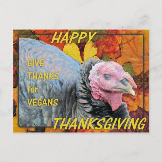 Give Thanks for Vegans Feestdagenkaart (Voorkant)