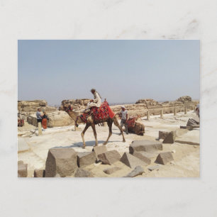 Giza plateau nabij de piramiden briefkaart