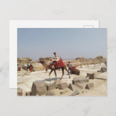 Giza plateau nabij de piramiden briefkaart (Voorkant / Achterkant)