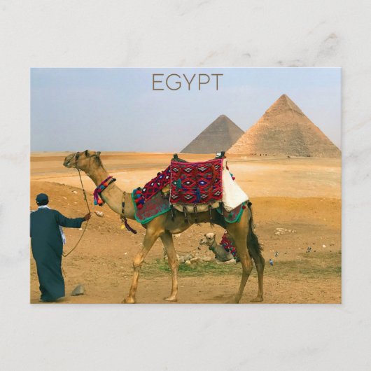 Gizepiramides, Egypte Briefkaart (Voorkant)