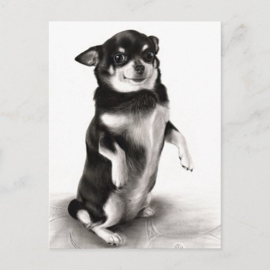 "Gizma" - Bekroond Chihuahua schilderij Briefkaart (Voorkant)