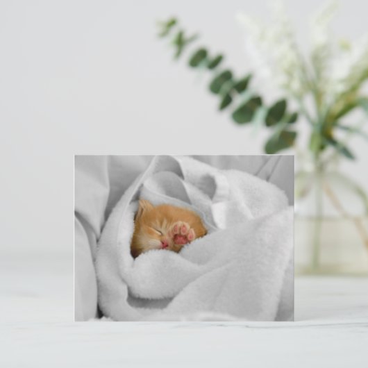 Gizmo Briefkaart (Staand voorkant)