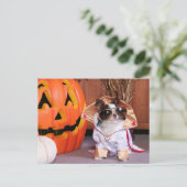 Gizmo - Chihuahua - Thomas Briefkaart (Staand voorkant)