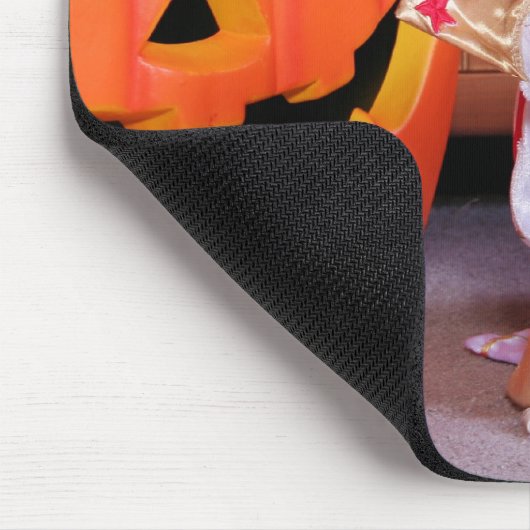 Gizmo - Chihuahua - Thomas Muismat (Hoek)