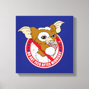 Gizmo Diervoeders na middernacht Canvas Afdruk