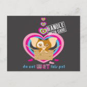 Gizmo | Dit pakket niet nat Briefkaart (Voorkant)