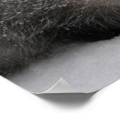 Gizmo-Poster afdrukken Poster (Hoek)