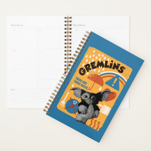 Gizmo | There Are Three Rules Planner (Display)