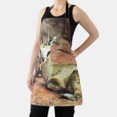 Gizzelle Schort (Insitu)