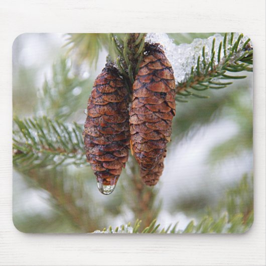 Glaasde Cones Muismat (Voorkant)