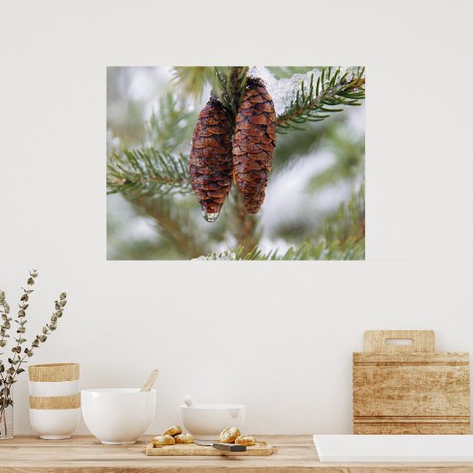 Glaasde Cones Poster (Keuken)