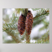 Glaasde Cones Poster (Voorkant)